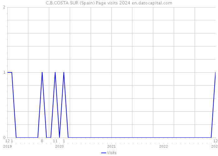 C.B.COSTA SUR (Spain) Page visits 2024 