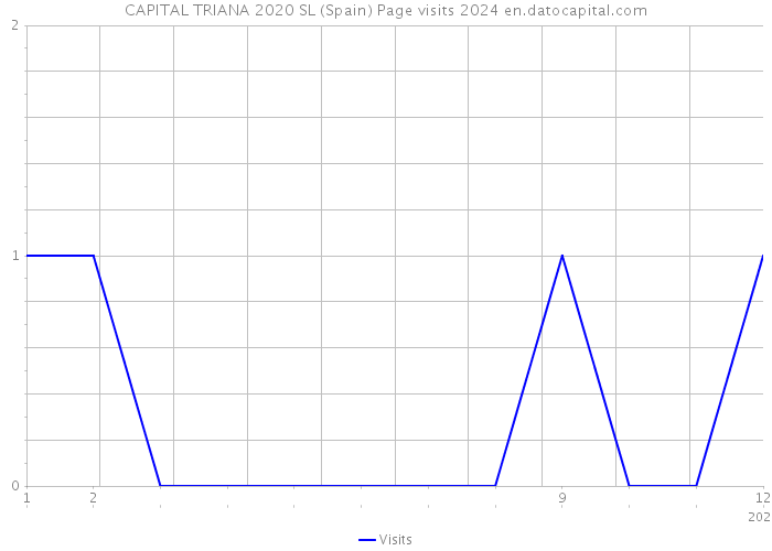 CAPITAL TRIANA 2020 SL (Spain) Page visits 2024 