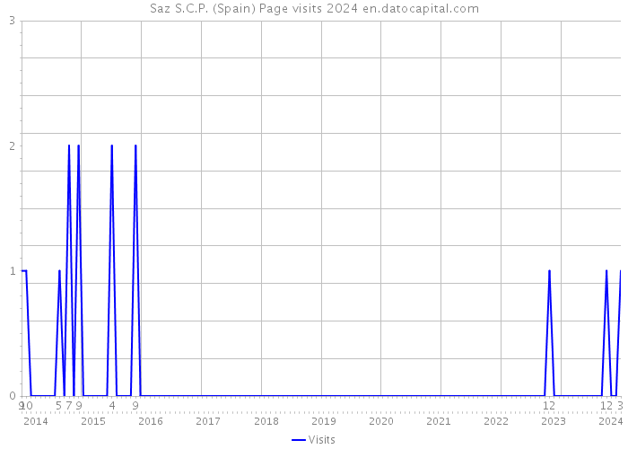 Saz S.C.P. (Spain) Page visits 2024 