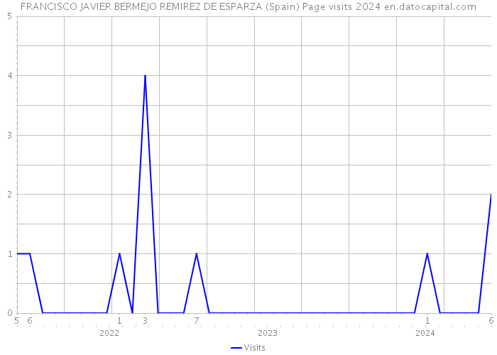 FRANCISCO JAVIER BERMEJO REMIREZ DE ESPARZA (Spain) Page visits 2024 