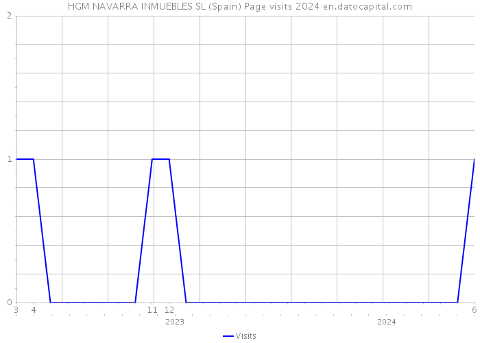 HGM NAVARRA INMUEBLES SL (Spain) Page visits 2024 