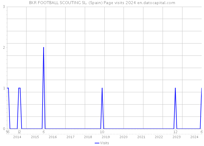 BKR FOOTBALL SCOUTING SL. (Spain) Page visits 2024 