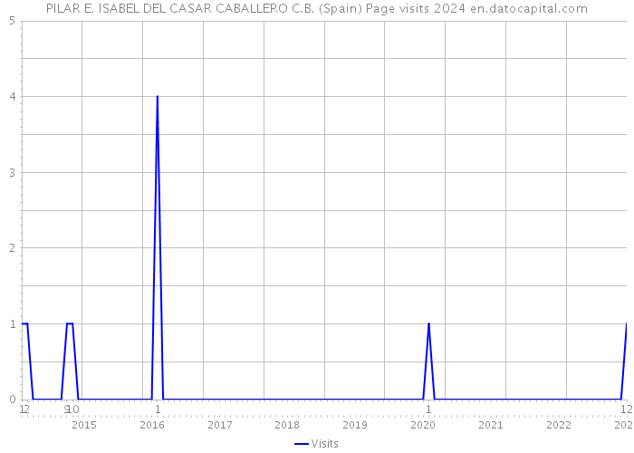 PILAR E. ISABEL DEL CASAR CABALLERO C.B. (Spain) Page visits 2024 