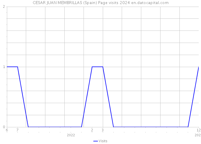 CESAR JUAN MEMBRILLAS (Spain) Page visits 2024 