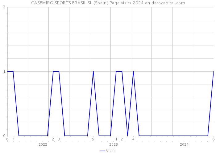 CASEMIRO SPORTS BRASIL SL (Spain) Page visits 2024 