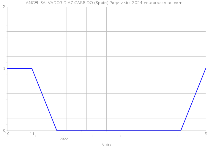 ANGEL SALVADOR DIAZ GARRIDO (Spain) Page visits 2024 