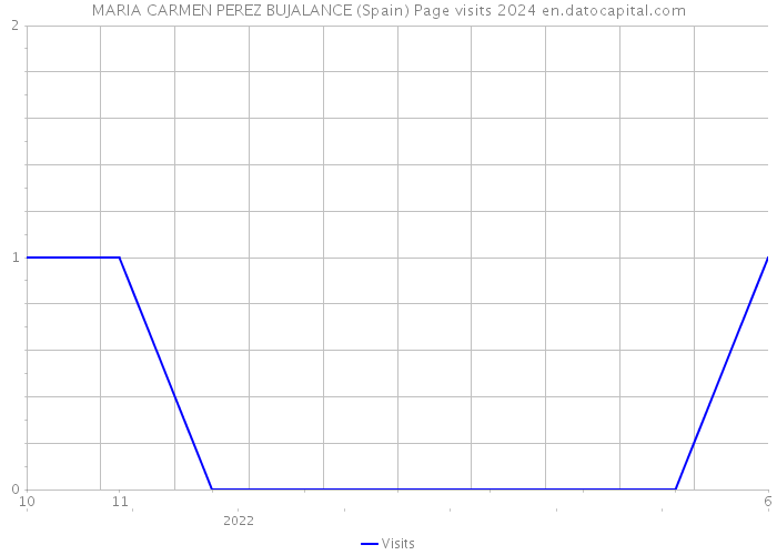 MARIA CARMEN PEREZ BUJALANCE (Spain) Page visits 2024 