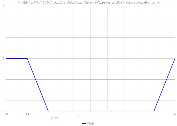 VICENTE MONTORO DE LOS DOLORES (Spain) Page visits 2024 