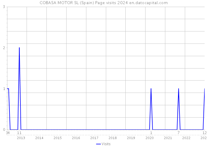 COBASA MOTOR SL (Spain) Page visits 2024 