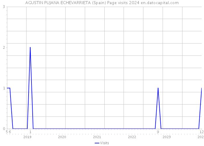 AGUSTIN PUJANA ECHEVARRIETA (Spain) Page visits 2024 
