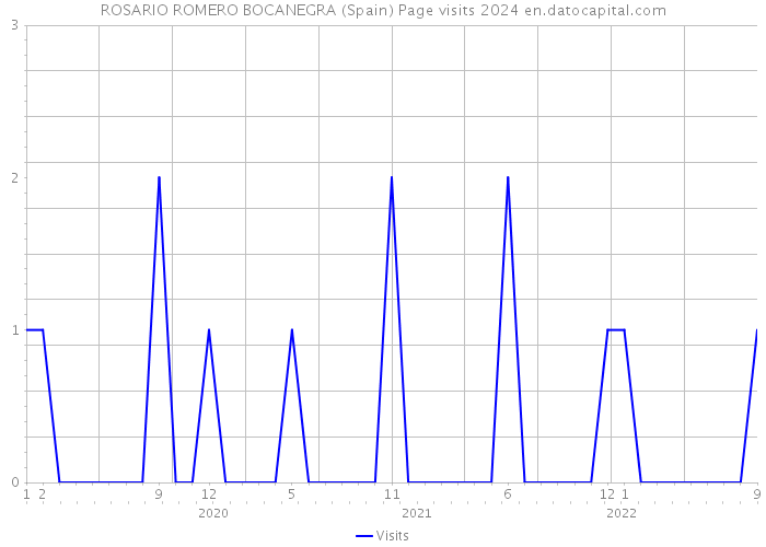 ROSARIO ROMERO BOCANEGRA (Spain) Page visits 2024 