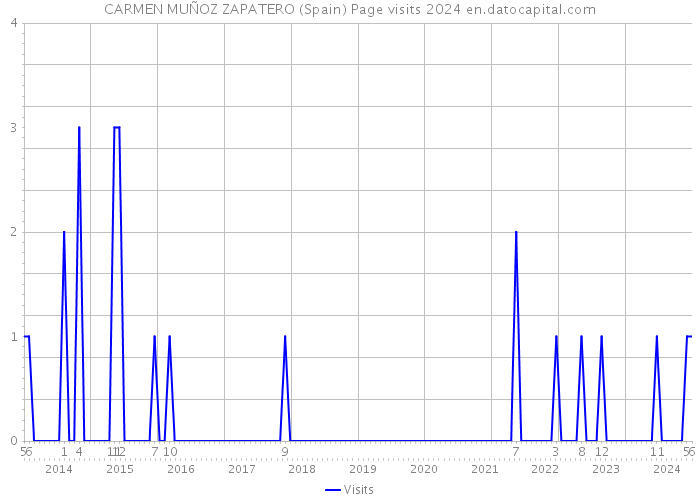 CARMEN MUÑOZ ZAPATERO (Spain) Page visits 2024 