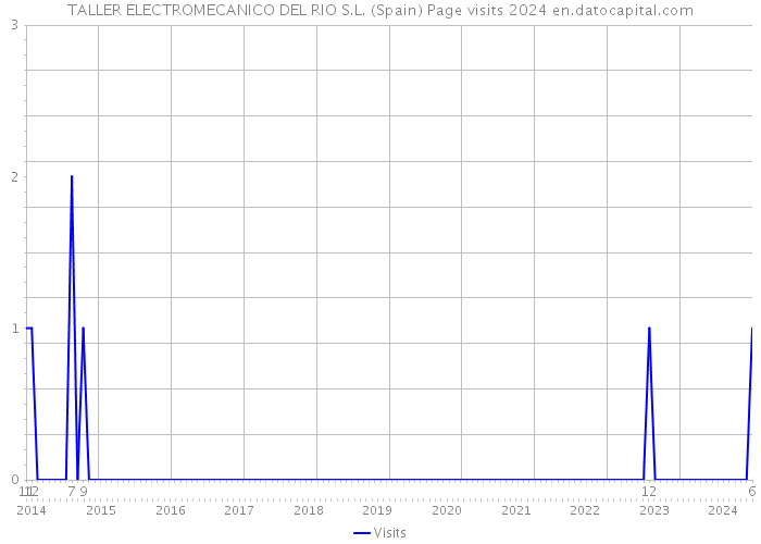 TALLER ELECTROMECANICO DEL RIO S.L. (Spain) Page visits 2024 