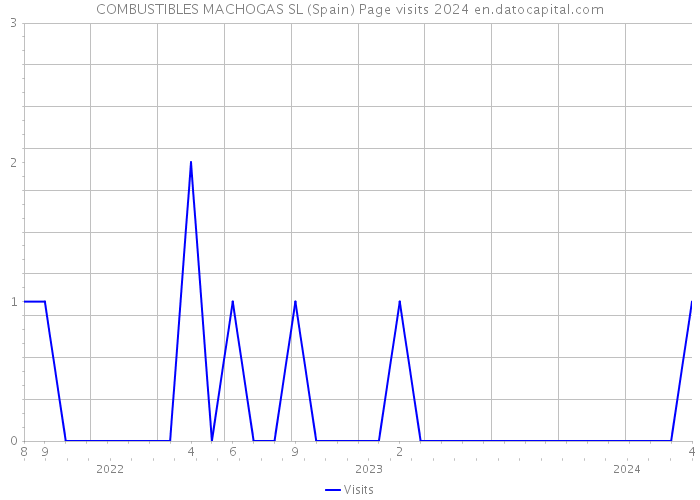 COMBUSTIBLES MACHOGAS SL (Spain) Page visits 2024 