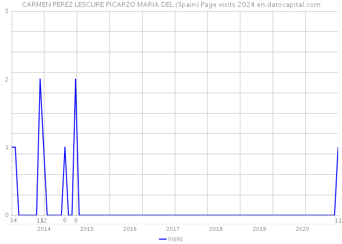 CARMEN PEREZ LESCURE PICARZO MARIA DEL (Spain) Page visits 2024 