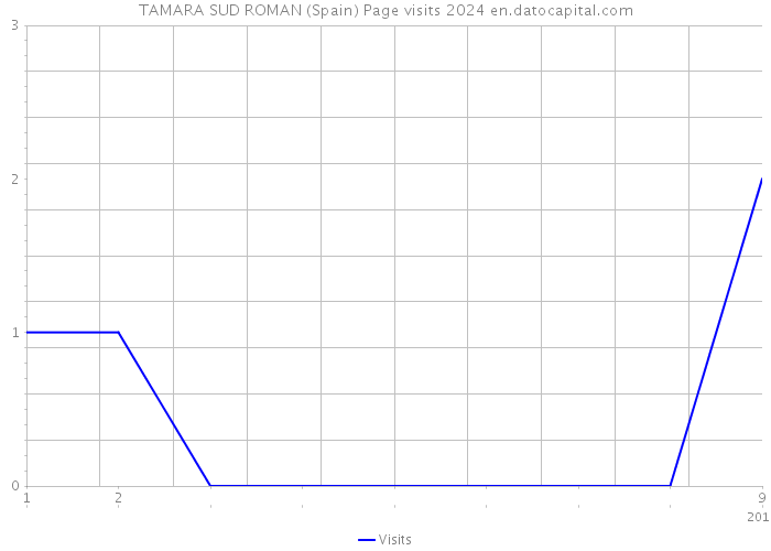 TAMARA SUD ROMAN (Spain) Page visits 2024 