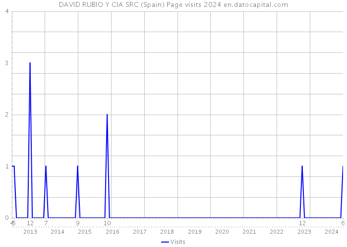 DAVID RUBIO Y CIA SRC (Spain) Page visits 2024 