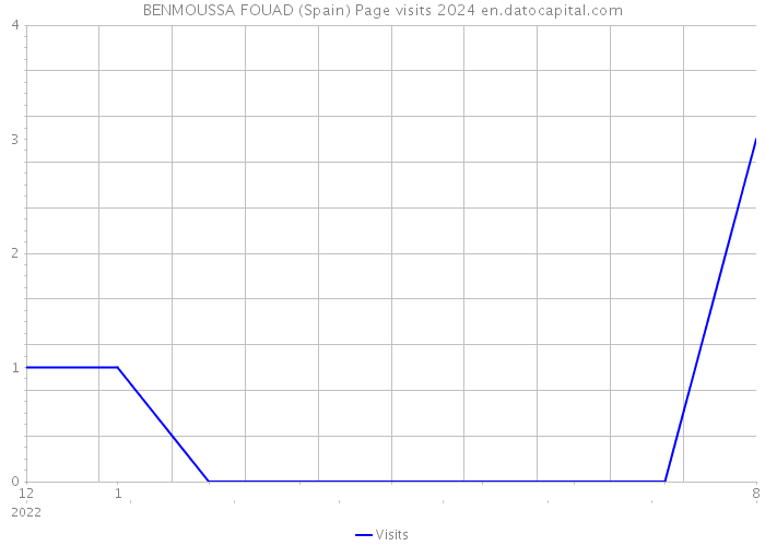 BENMOUSSA FOUAD (Spain) Page visits 2024 