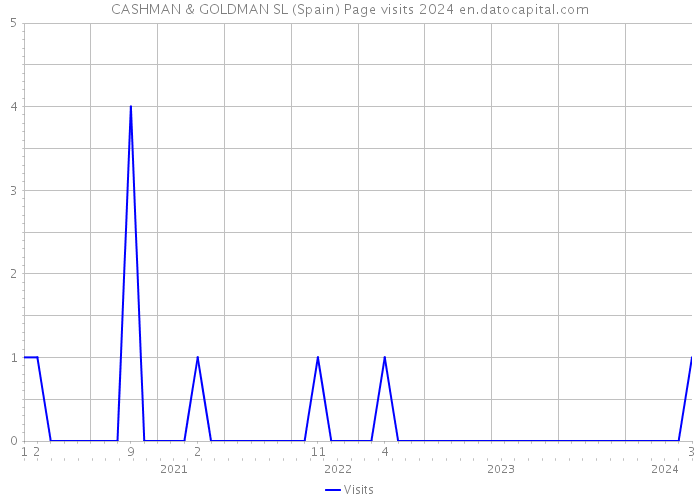 CASHMAN & GOLDMAN SL (Spain) Page visits 2024 