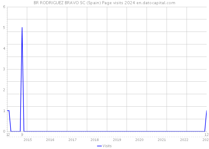 BR RODRIGUEZ BRAVO SC (Spain) Page visits 2024 