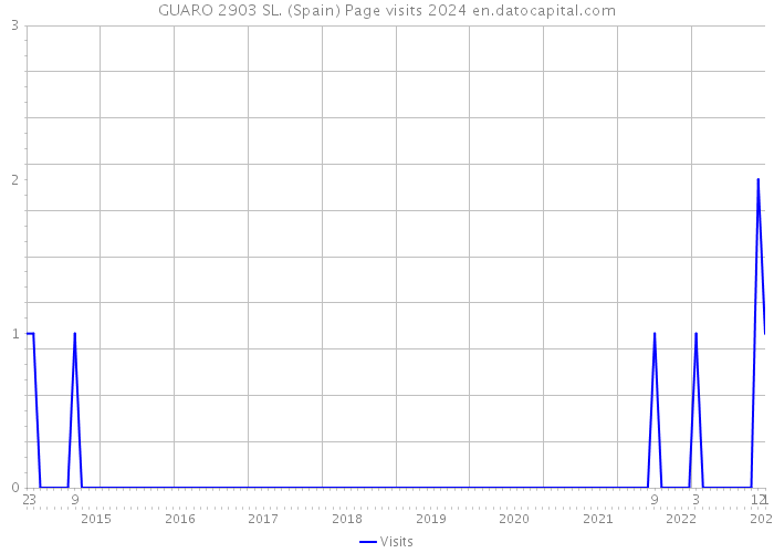 GUARO 2903 SL. (Spain) Page visits 2024 