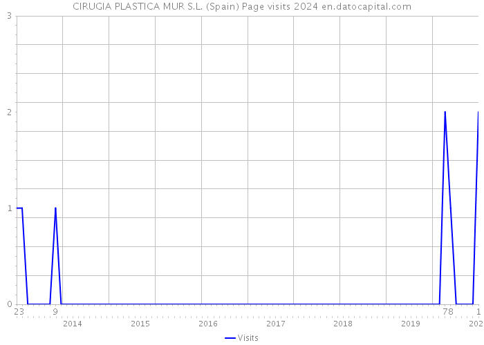CIRUGIA PLASTICA MUR S.L. (Spain) Page visits 2024 