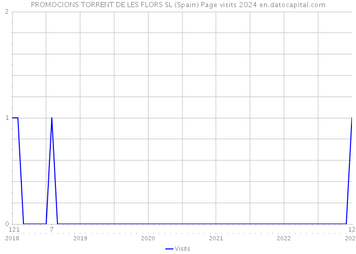 PROMOCIONS TORRENT DE LES FLORS SL (Spain) Page visits 2024 