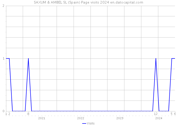 SAXUM & AMBEL SL (Spain) Page visits 2024 