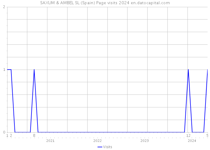 SAXUM & AMBEL SL (Spain) Page visits 2024 
