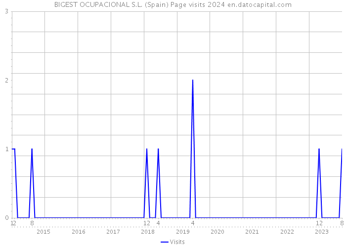 BIGEST OCUPACIONAL S.L. (Spain) Page visits 2024 