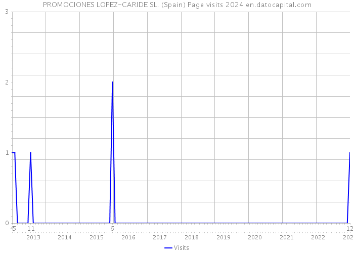 PROMOCIONES LOPEZ-CARIDE SL. (Spain) Page visits 2024 