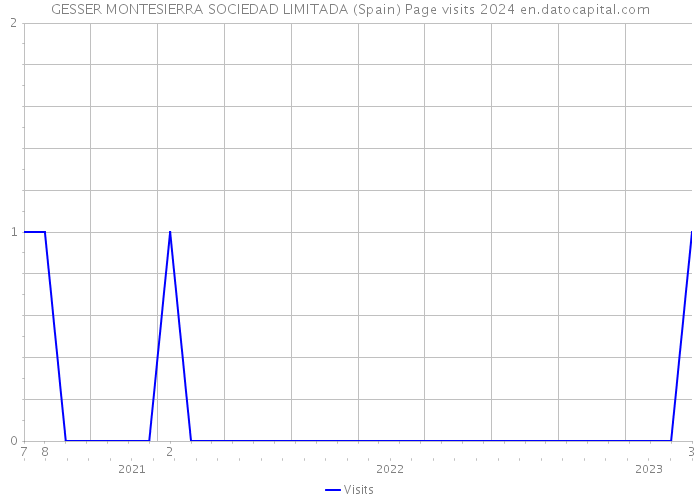 GESSER MONTESIERRA SOCIEDAD LIMITADA (Spain) Page visits 2024 