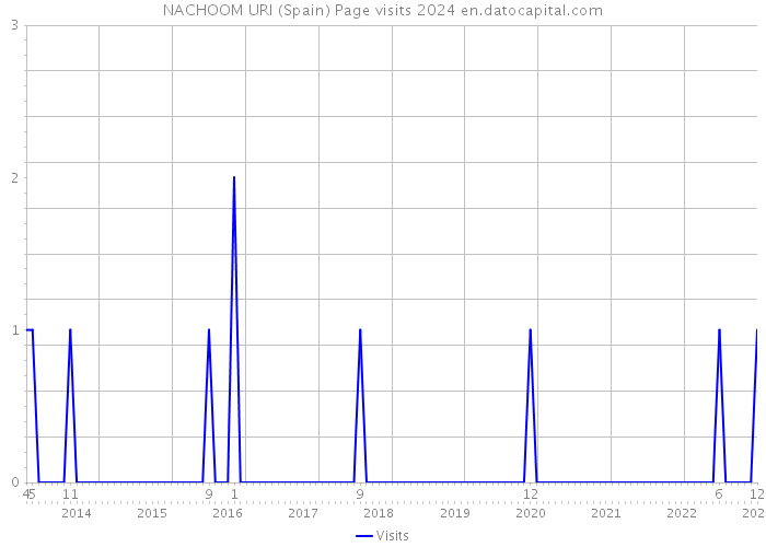 NACHOOM URI (Spain) Page visits 2024 