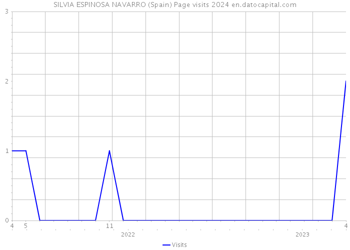 SILVIA ESPINOSA NAVARRO (Spain) Page visits 2024 