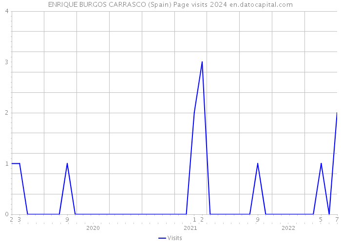 ENRIQUE BURGOS CARRASCO (Spain) Page visits 2024 