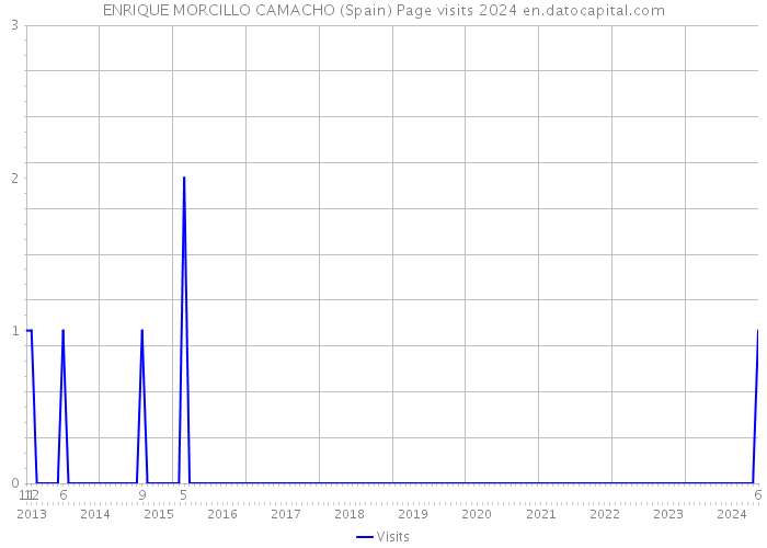 ENRIQUE MORCILLO CAMACHO (Spain) Page visits 2024 