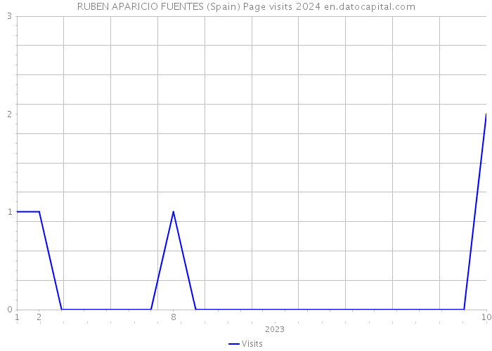 RUBEN APARICIO FUENTES (Spain) Page visits 2024 