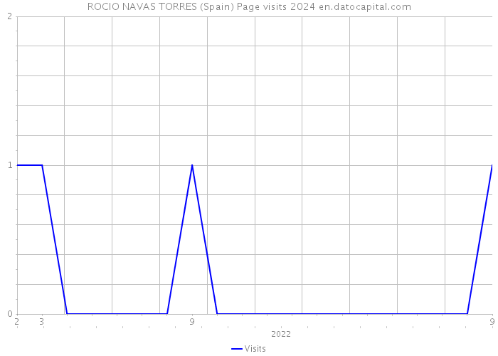 ROCIO NAVAS TORRES (Spain) Page visits 2024 