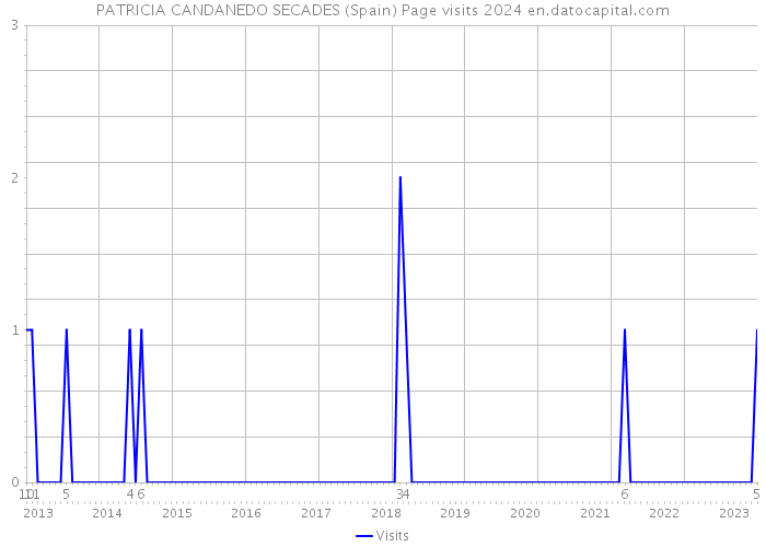PATRICIA CANDANEDO SECADES (Spain) Page visits 2024 
