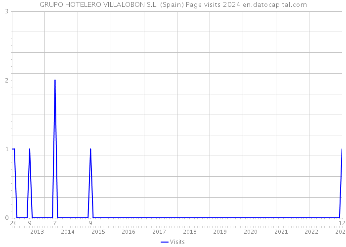 GRUPO HOTELERO VILLALOBON S.L. (Spain) Page visits 2024 