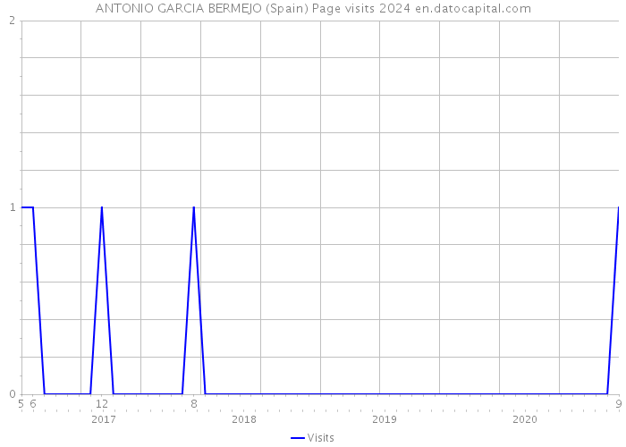 ANTONIO GARCIA BERMEJO (Spain) Page visits 2024 