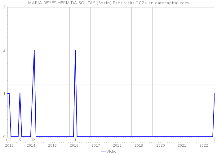 MARIA REYES HERMIDA BOUZAS (Spain) Page visits 2024 