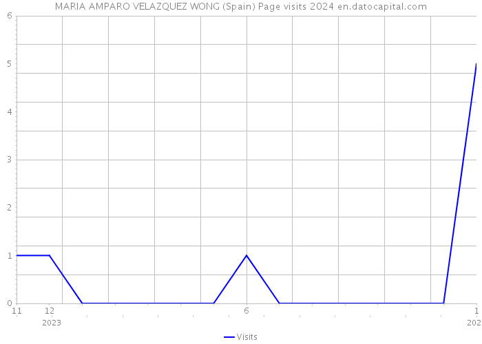 MARIA AMPARO VELAZQUEZ WONG (Spain) Page visits 2024 