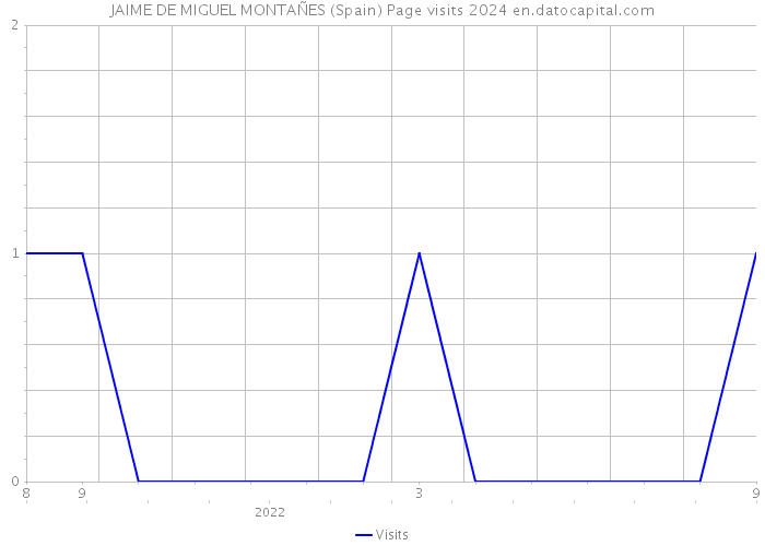 JAIME DE MIGUEL MONTAÑES (Spain) Page visits 2024 