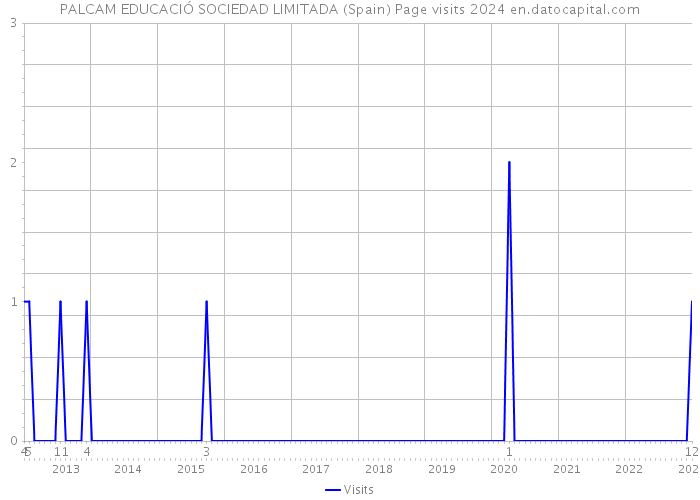 PALCAM EDUCACIÓ SOCIEDAD LIMITADA (Spain) Page visits 2024 