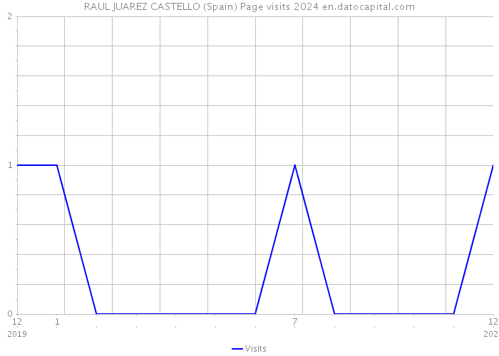 RAUL JUAREZ CASTELLO (Spain) Page visits 2024 