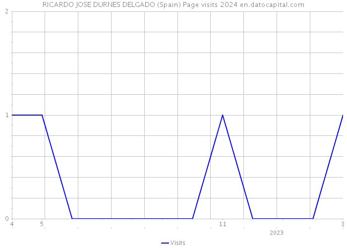 RICARDO JOSE DURNES DELGADO (Spain) Page visits 2024 