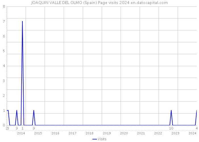 JOAQUIN VALLE DEL OLMO (Spain) Page visits 2024 