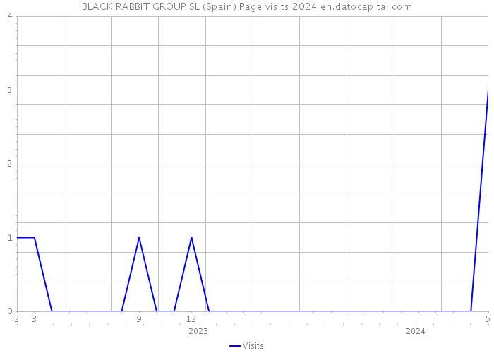 BLACK RABBIT GROUP SL (Spain) Page visits 2024 
