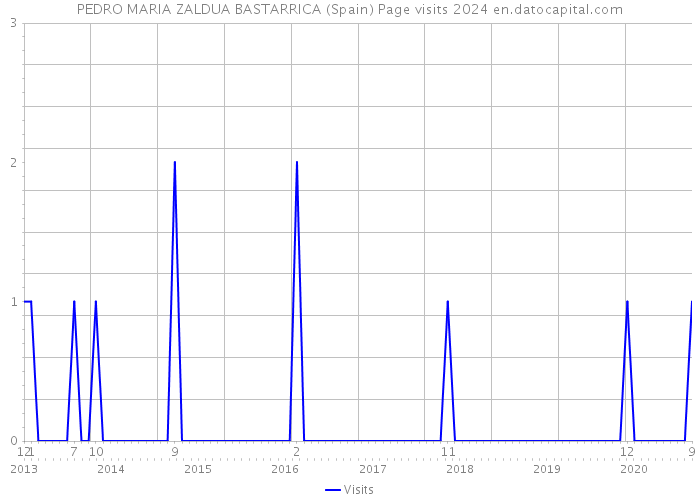 PEDRO MARIA ZALDUA BASTARRICA (Spain) Page visits 2024 